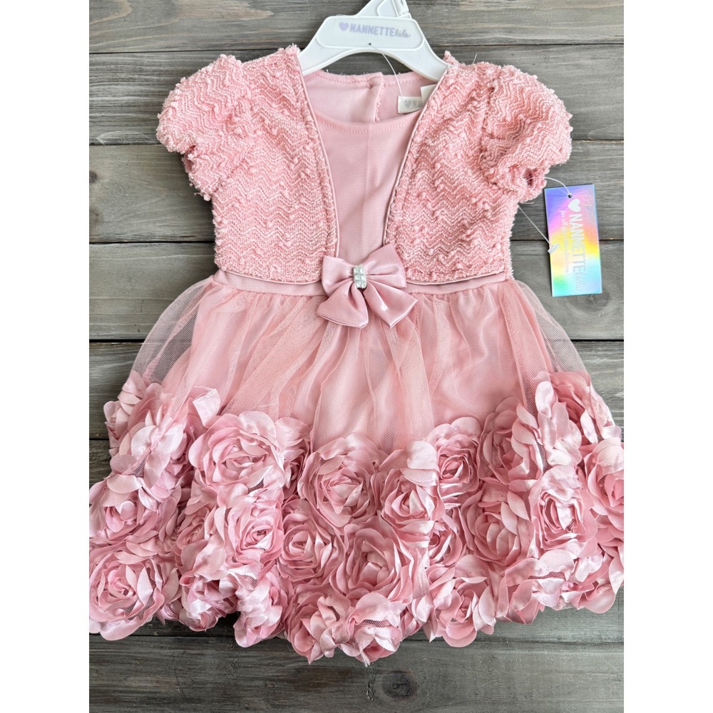 NWT Nannette Kids Pink 3D Rosette Mesh Party Dress Girls 2T Dressy Wedding